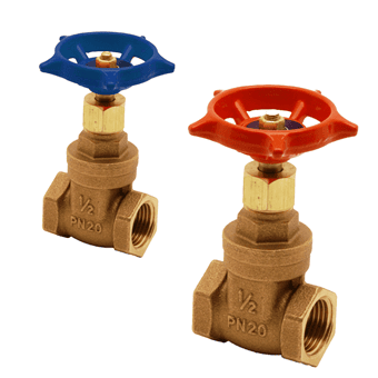 Pegler Gate Valve 10751PT 2 Female Thread Saudi Arabia